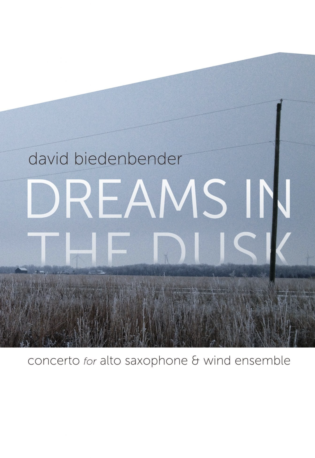Dreams In The Dusk - Full Concerto For Alto Saxophone And Wind Ensemble by David Biedenbender