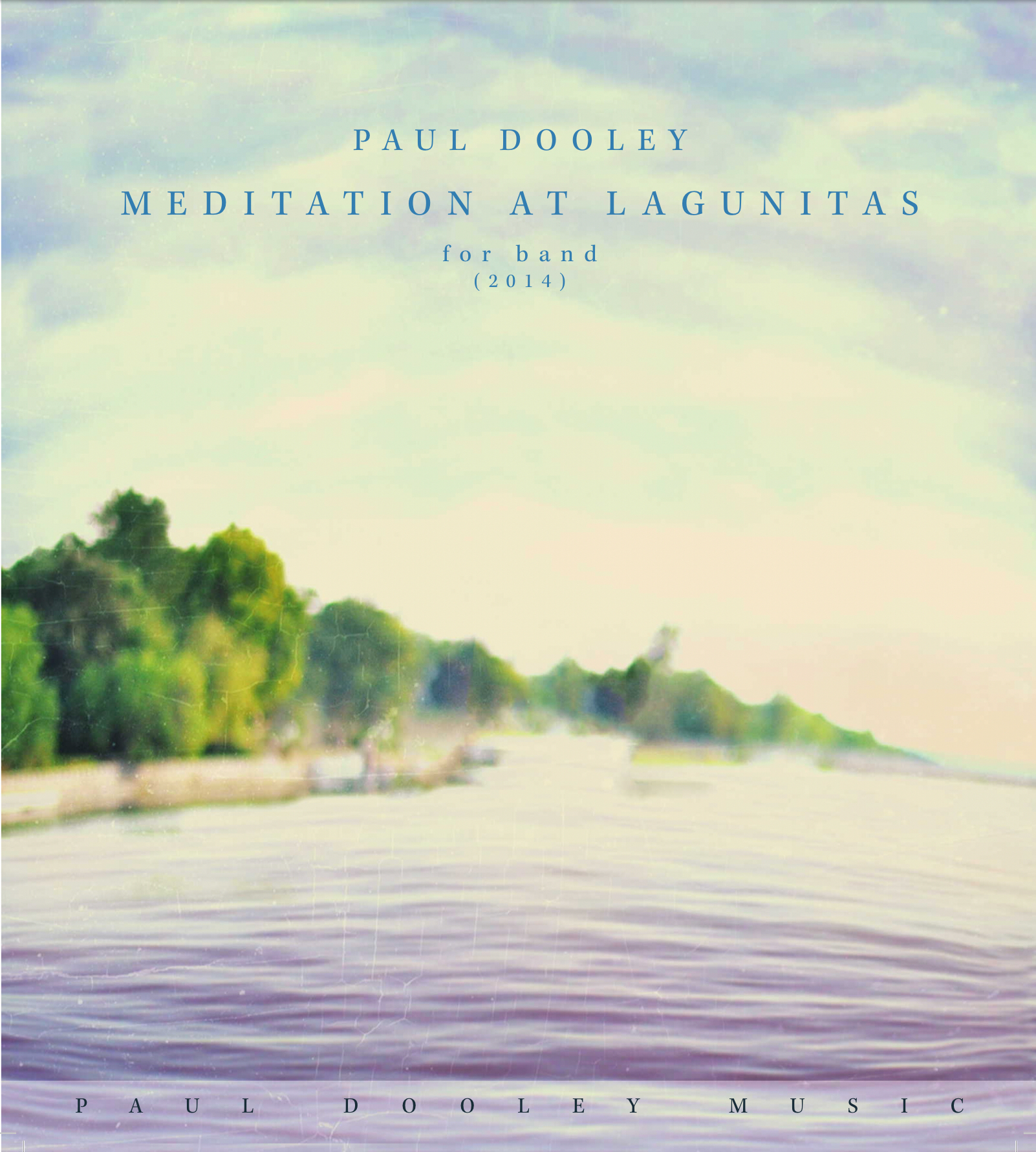 Meditation At Lagunitas  by Paul Dooley