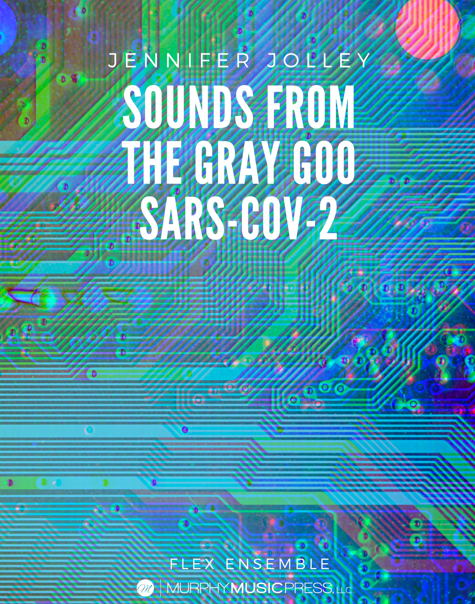 Sounds From The Gary Goo by Jennifer Jolley