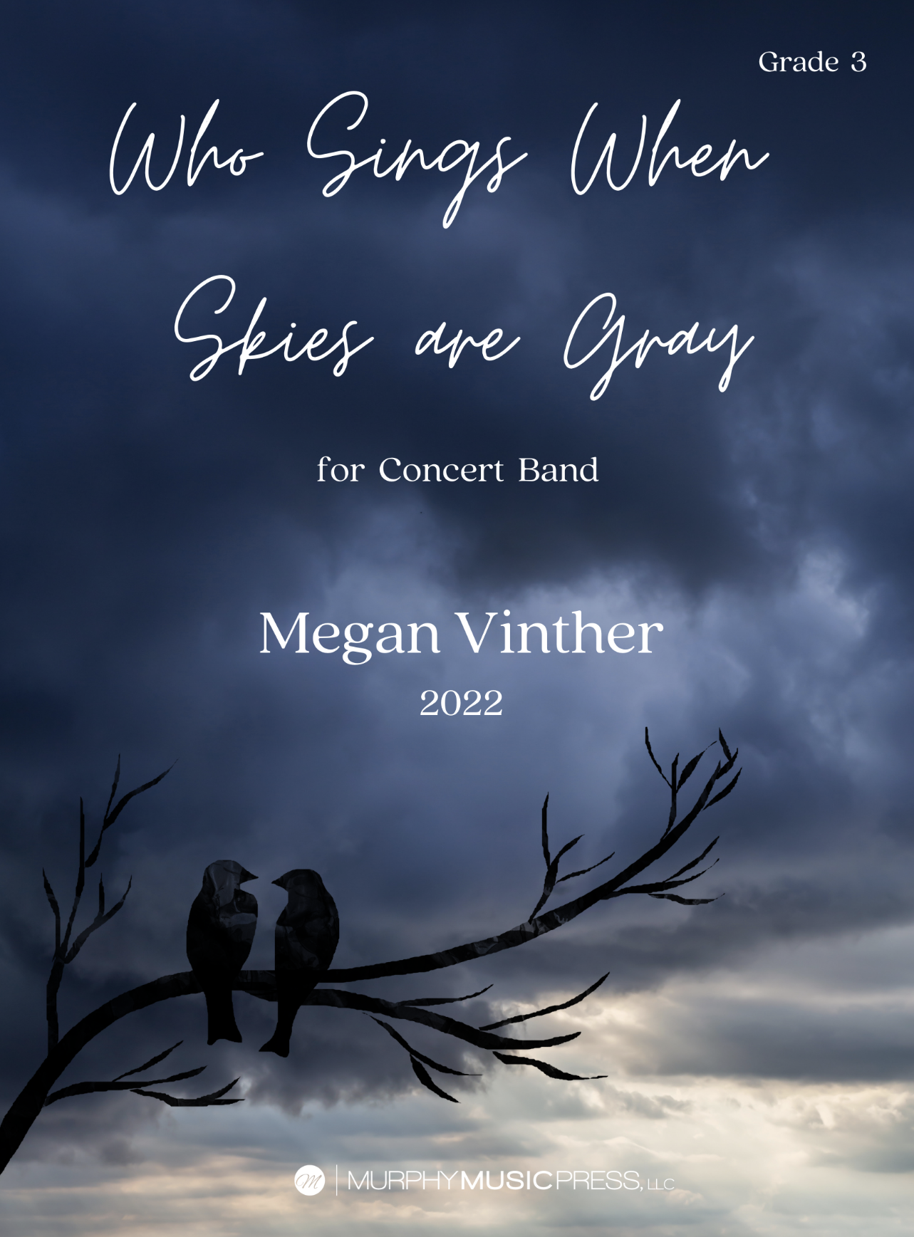 Who Sings When Skies Are Gray by Megan Vinther