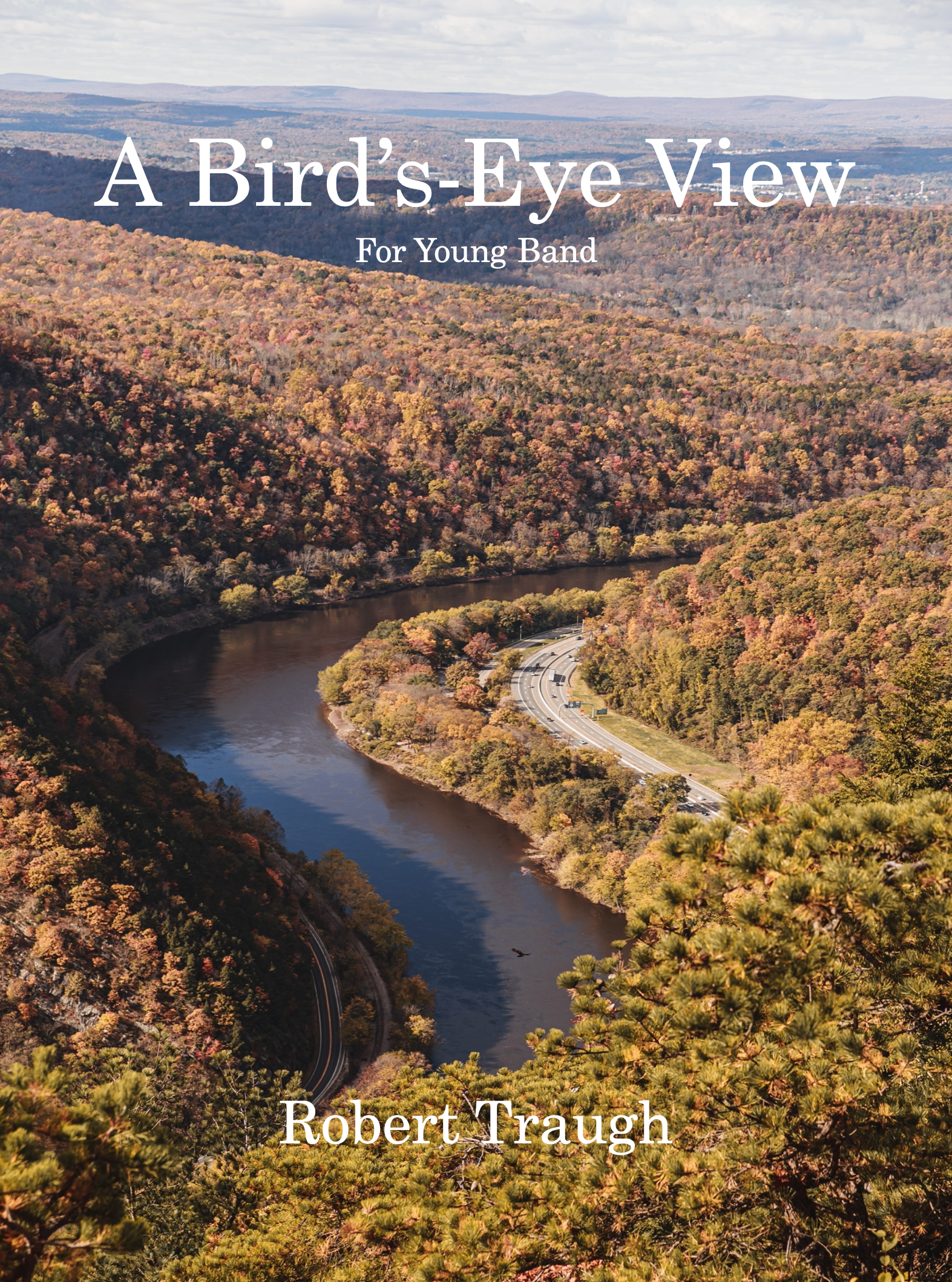 A Bird's-Eye View (score Only) by Rob Traugh 