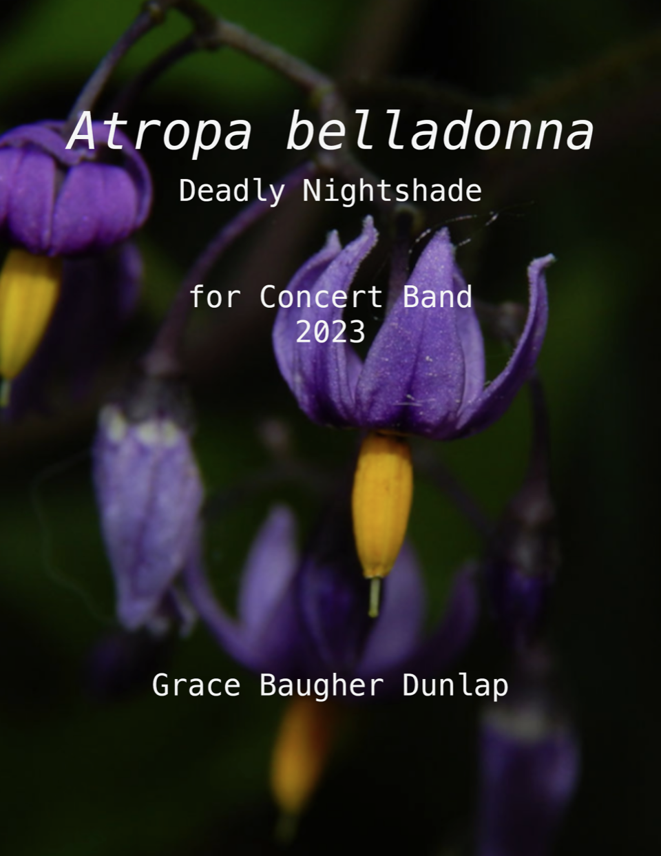 Atropa Belladonna (Deadly Nightshade) by Grace Baugher