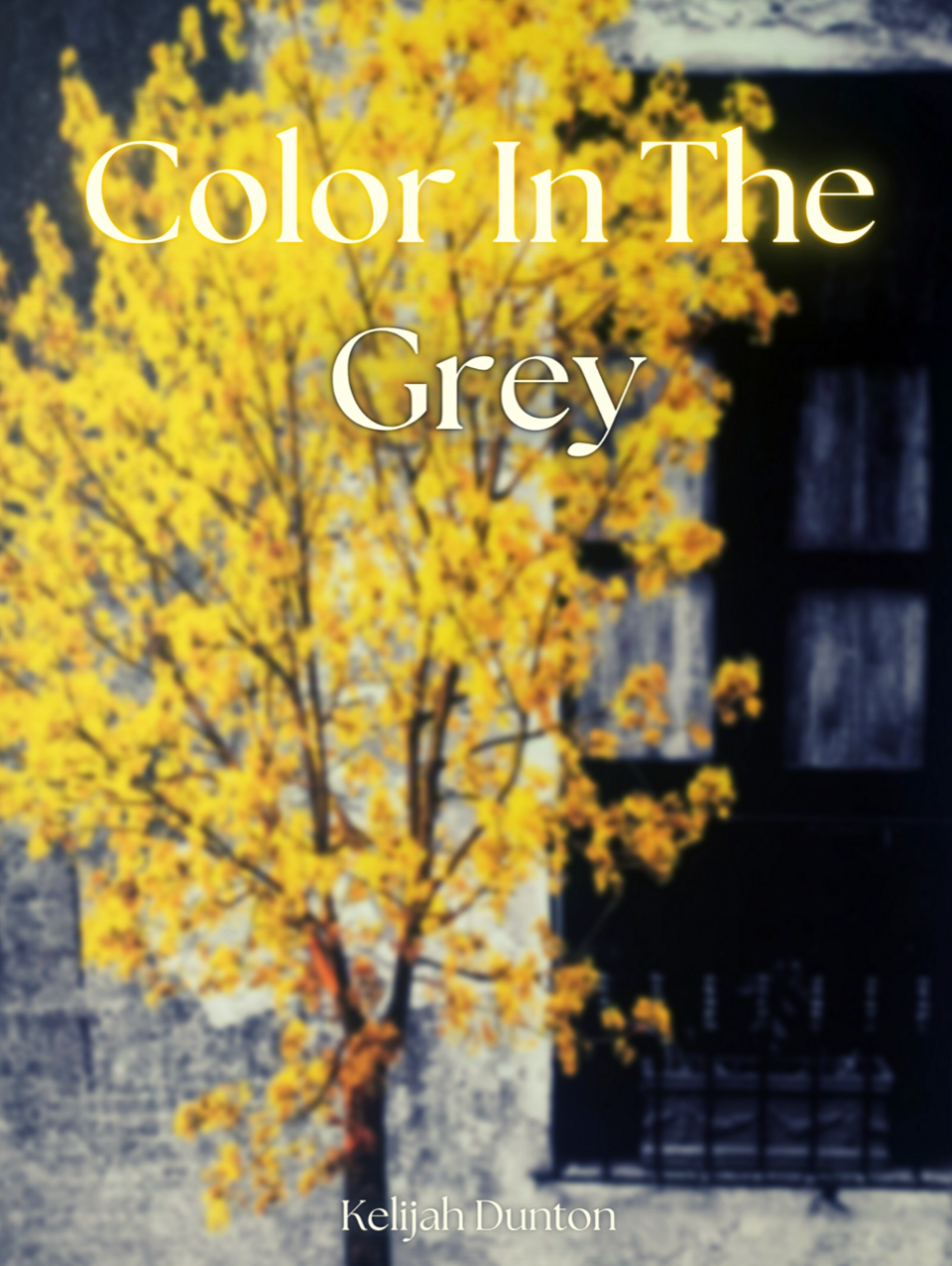 Color In The Grey by Kelijah Dunton