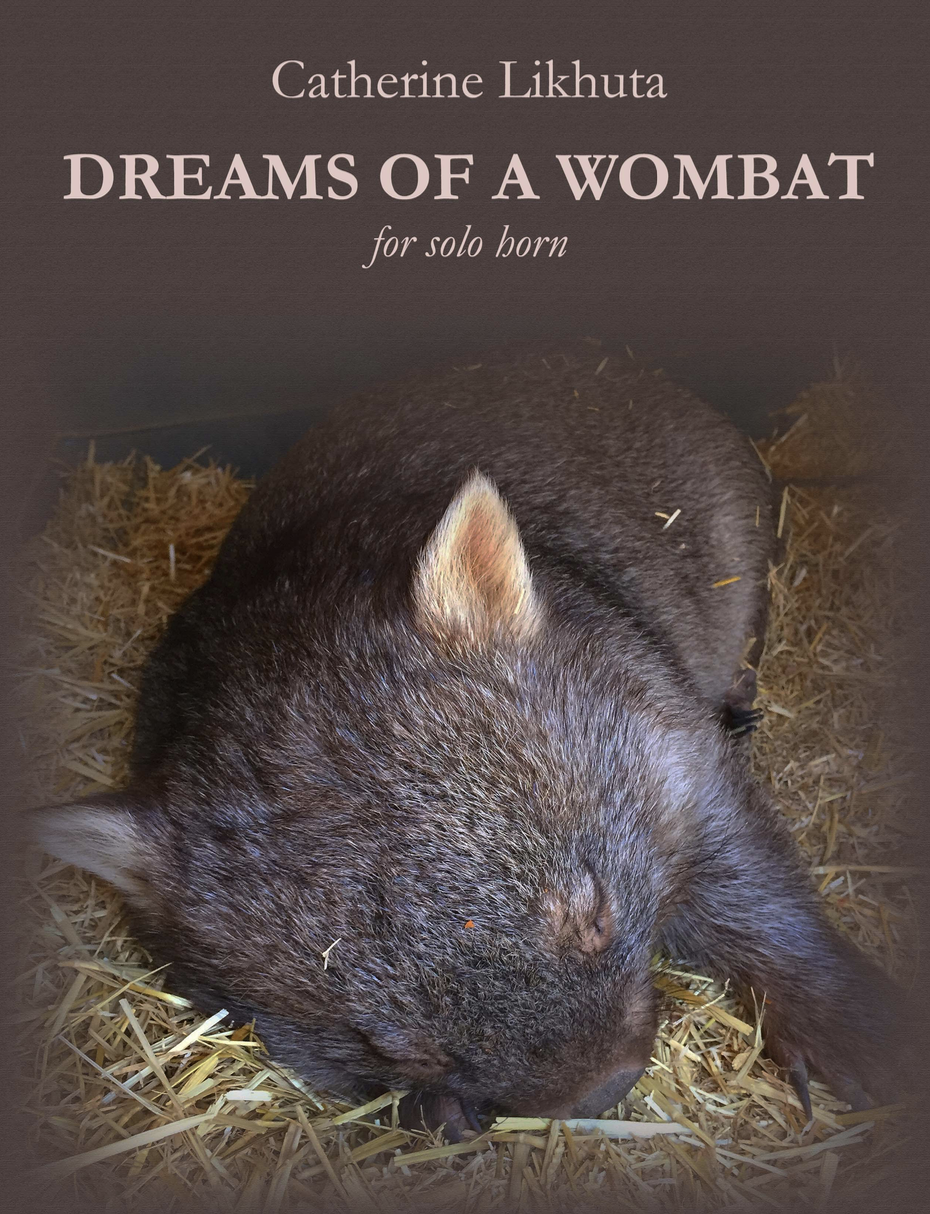 Dreams Of A Wombat by Catherine Likhuta