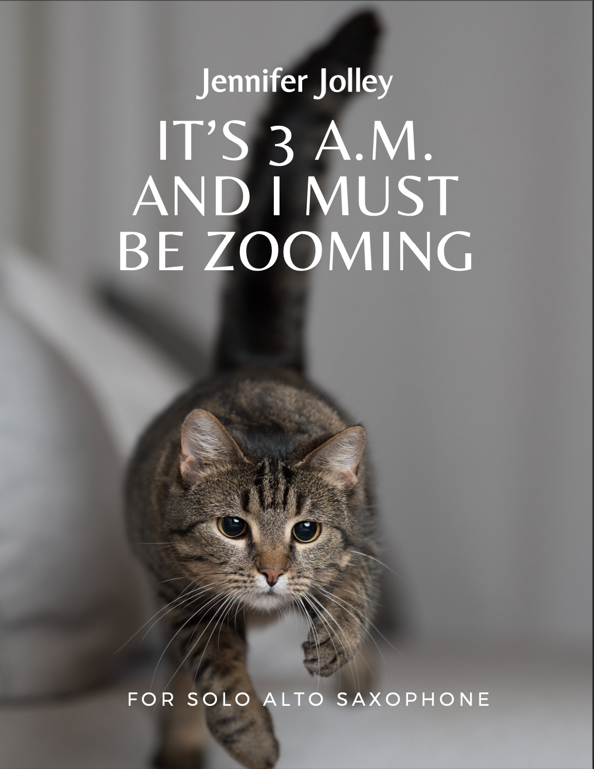 It's 3 A.M. And I Must Be Zooming by Jennifer Jolley