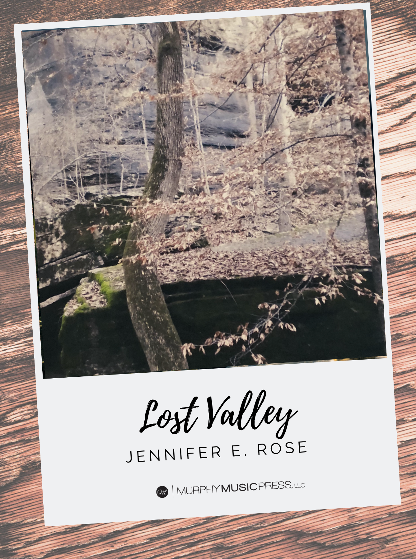 Lost Valley by Jennifer Rose