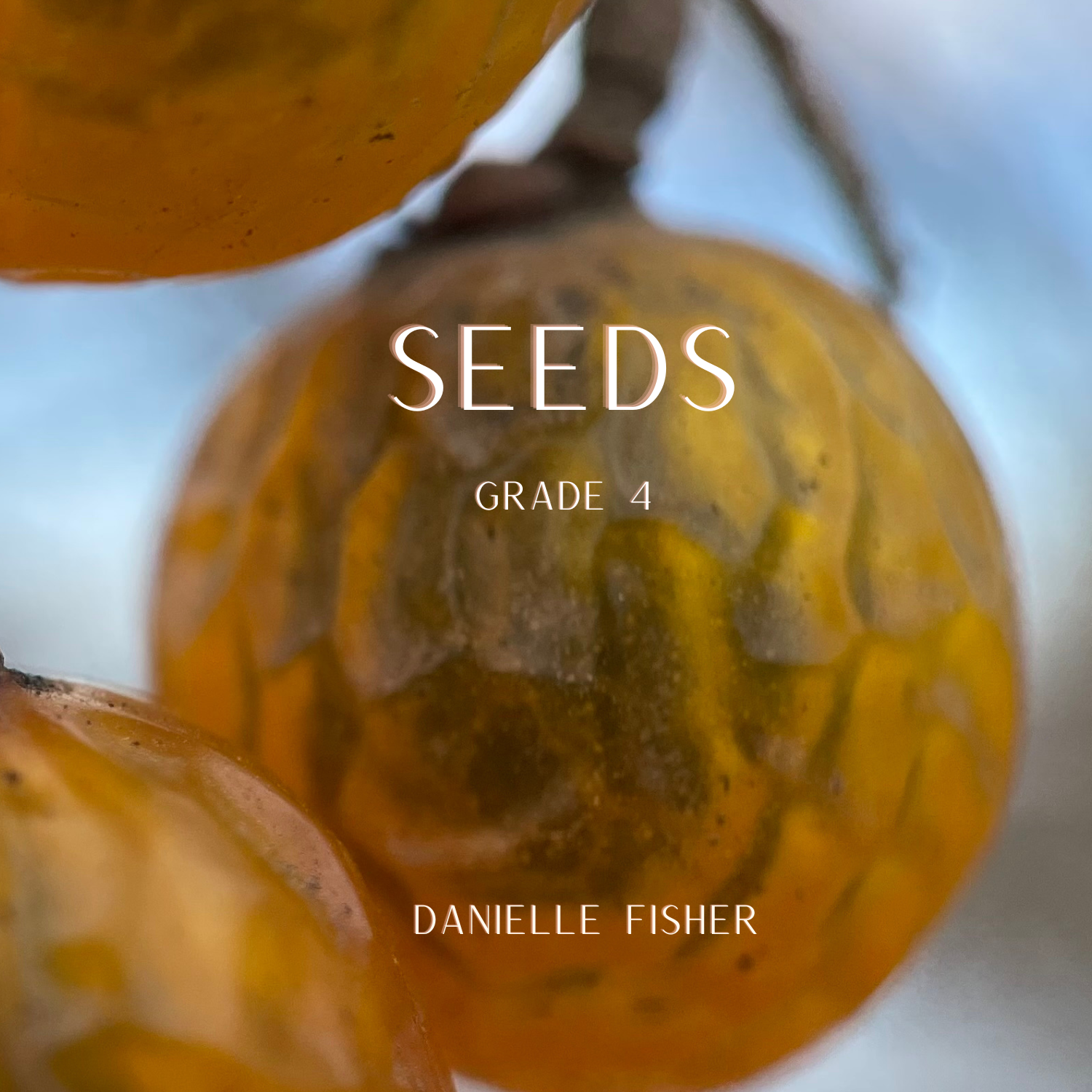 Seeds by Danielle Fisher