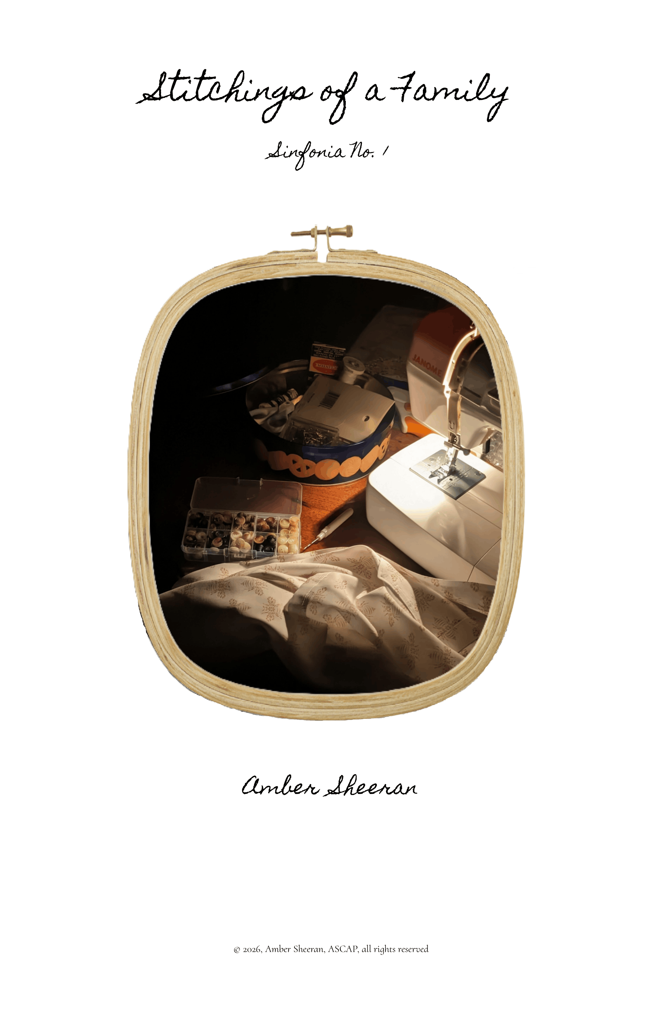 Stitchings Of A Family by Amber Sheeran