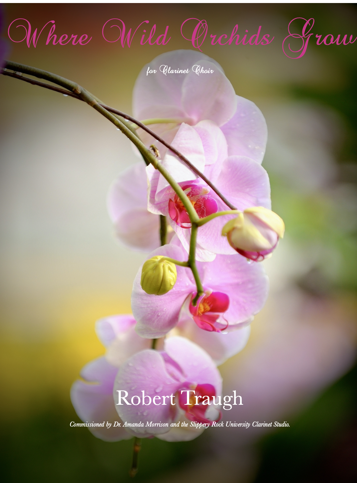 Where Wild Orchids Grow by Robert Traugh